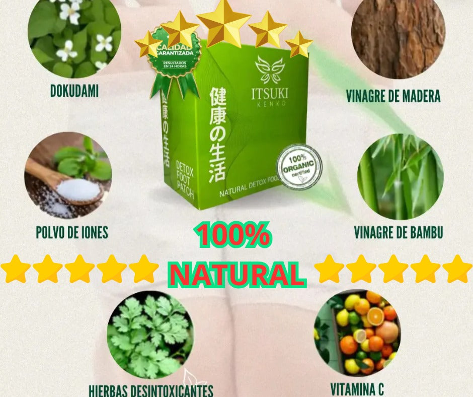 PARCHE DETOX - ITSIKI KENKO